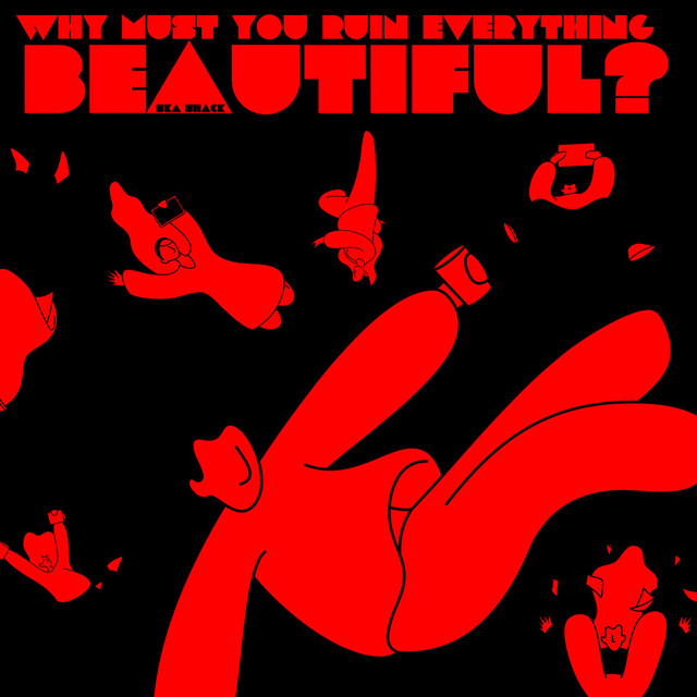 Why Must You Ruin Everything Beautiful? cover art