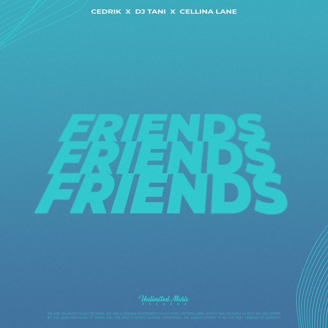 Friends - Techno Mix