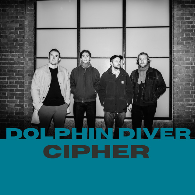 Dolphin Diver