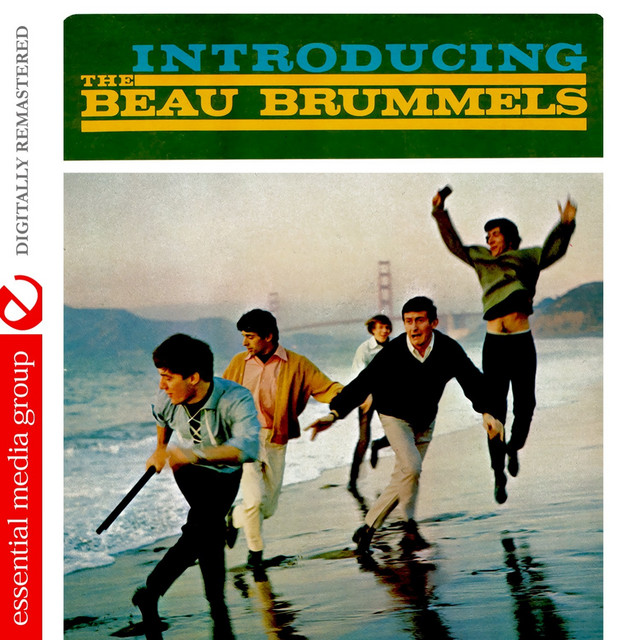Golden Series［カセット］ of Archive Beau the Brummels: The Best