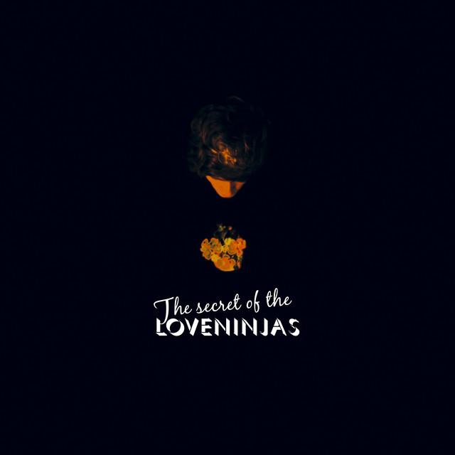 The secret of the Loveninjas cover art