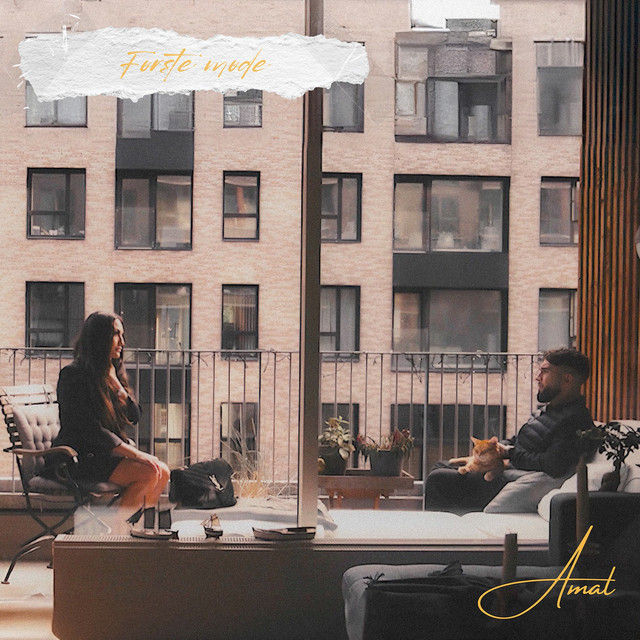 FØRSTE MØDE cover art