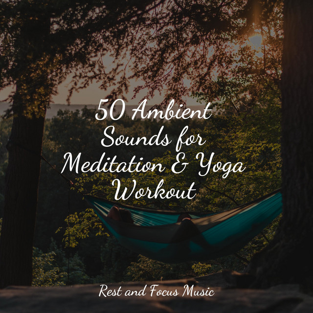 50 Ambient Sounds for Meditation & Yoga Workout - Album by Massage ...