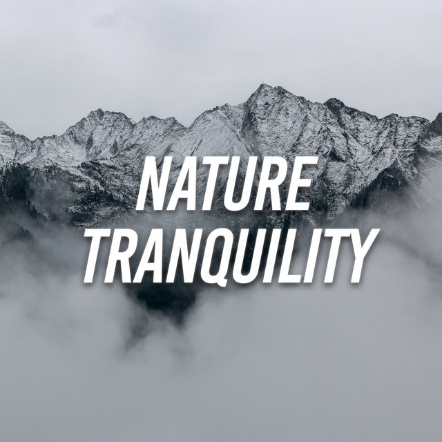 Nature Tranquility cover art