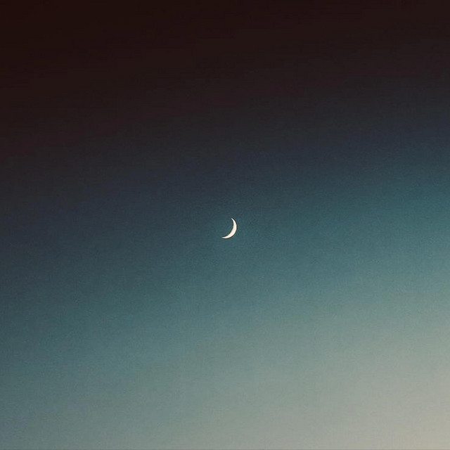 Violet cover art
