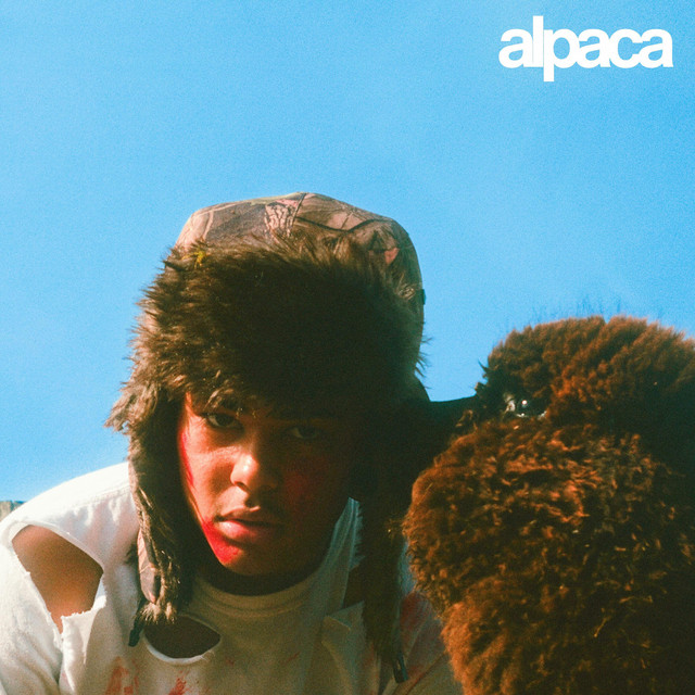 alpaca cover art
