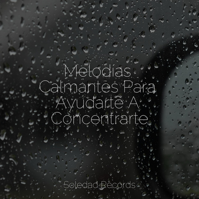 Melodías Calmantes Para Ayudarte A Concentrarte