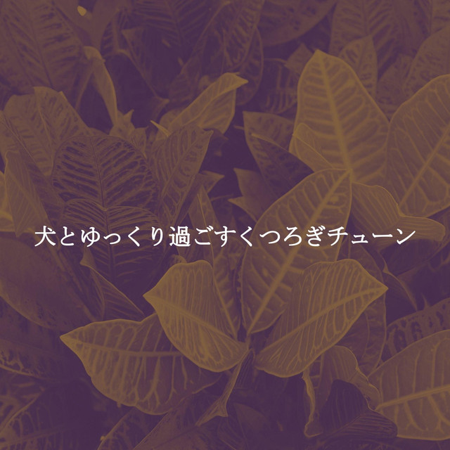 犬とゆっくり過ごすくつろぎチューン cover art