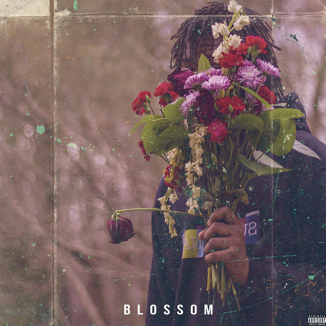 Blossom (Delluxe Edition) cover art