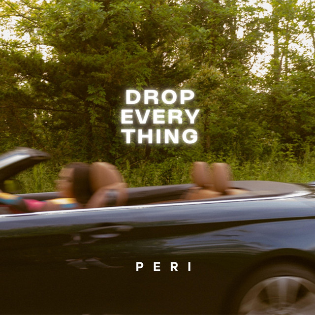 DROP EVERYTHING cover art