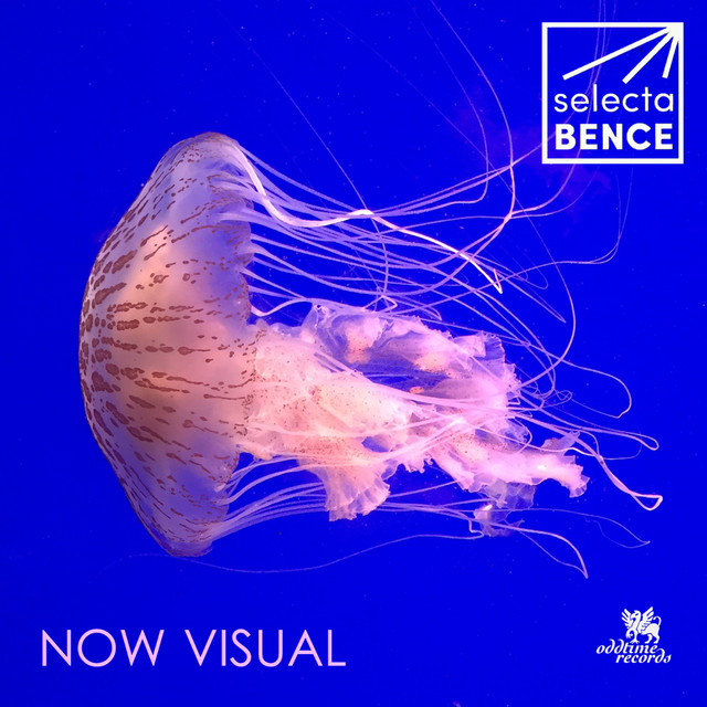 Now Visual cover