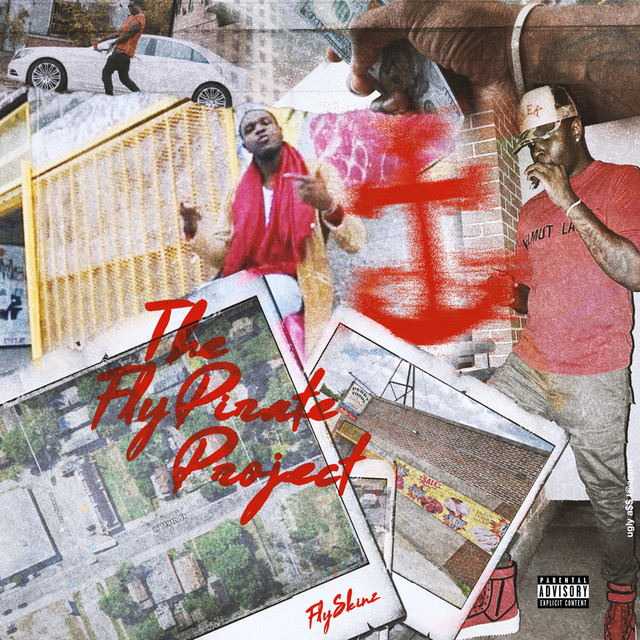 The Fly Pirate Project cover art