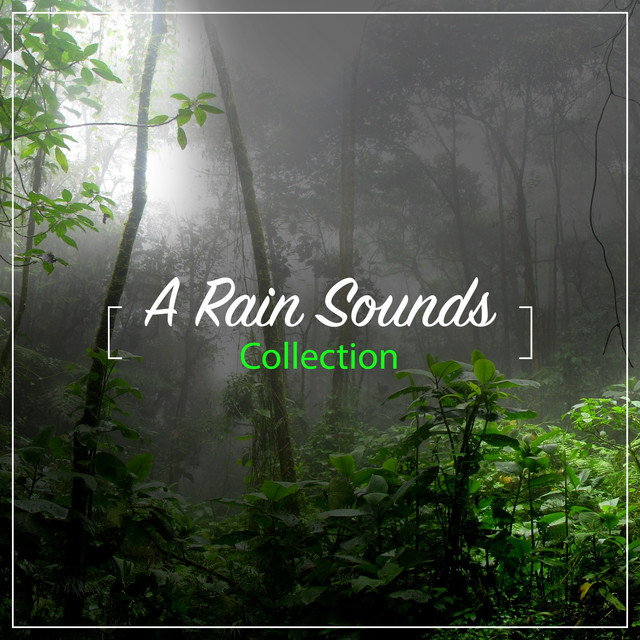 #A Rain Sounds Collection