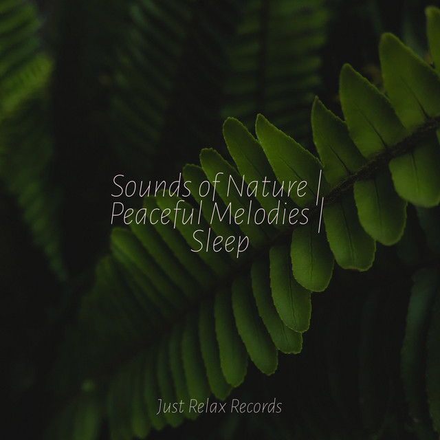 Sounds of Nature | Peaceful Melodies | Sleep - Album by Yoga Sounds ...