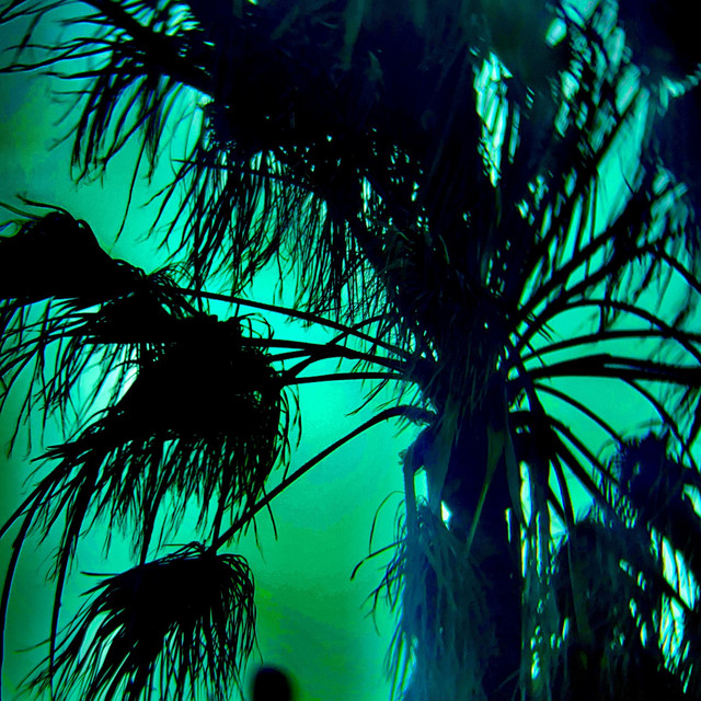 SEAWEED cover art