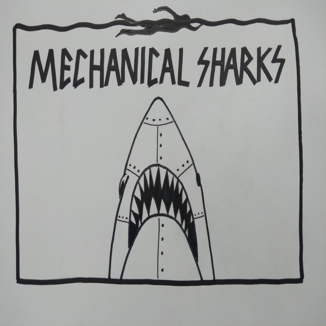 Sharks & Me Photo
