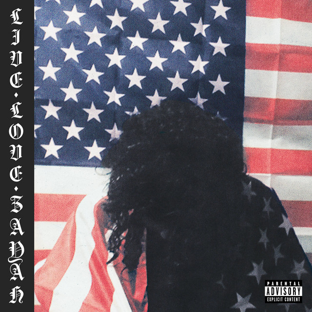 Live Love Zayah cover art