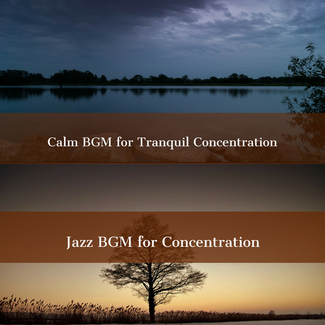 Calm BGM for Tranquil Concentration cover art