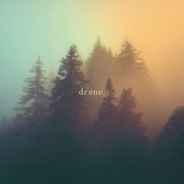 canopy cover art