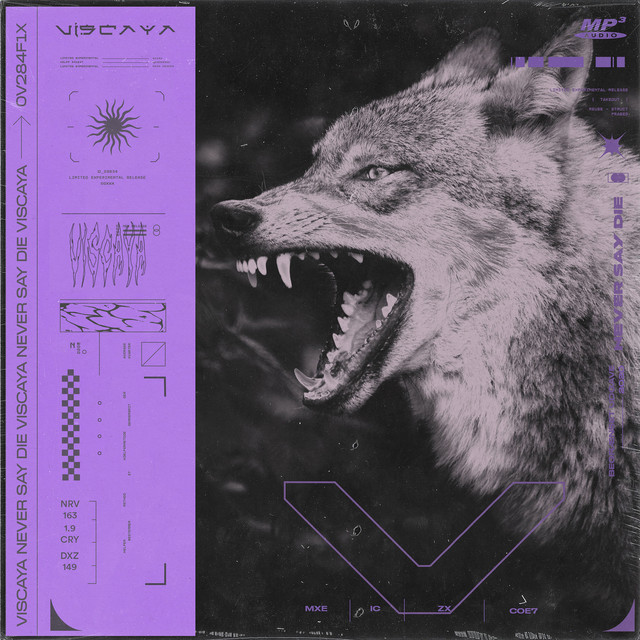 Never Say Die cover