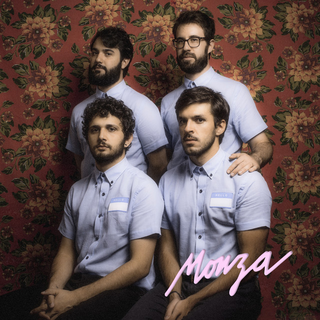 Hoje Foi um Dia Fantástico cover art