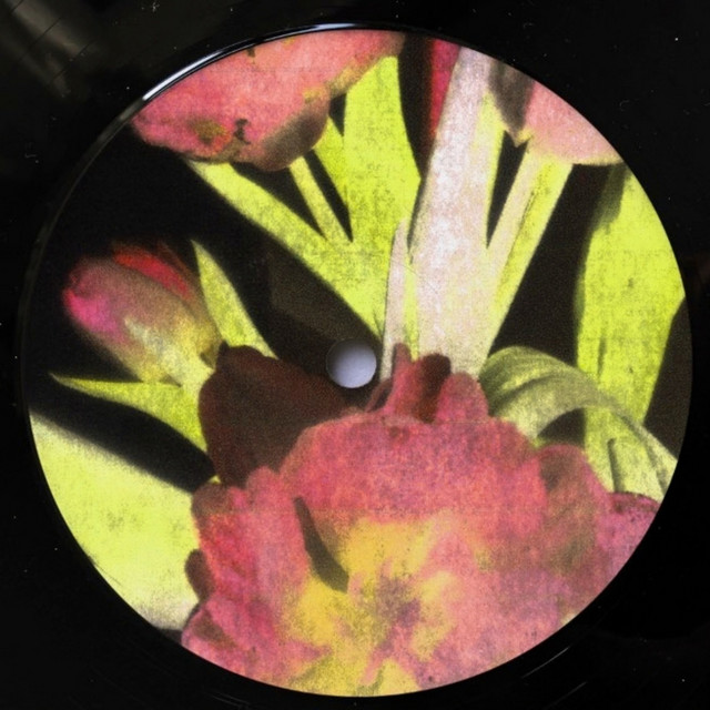 Camellia cover