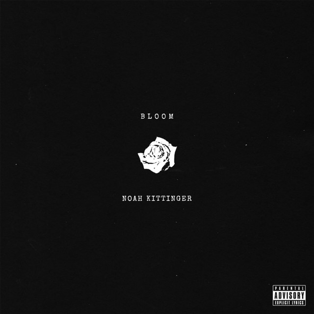 Bloom cover art