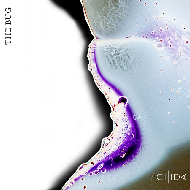 The Bug cover art