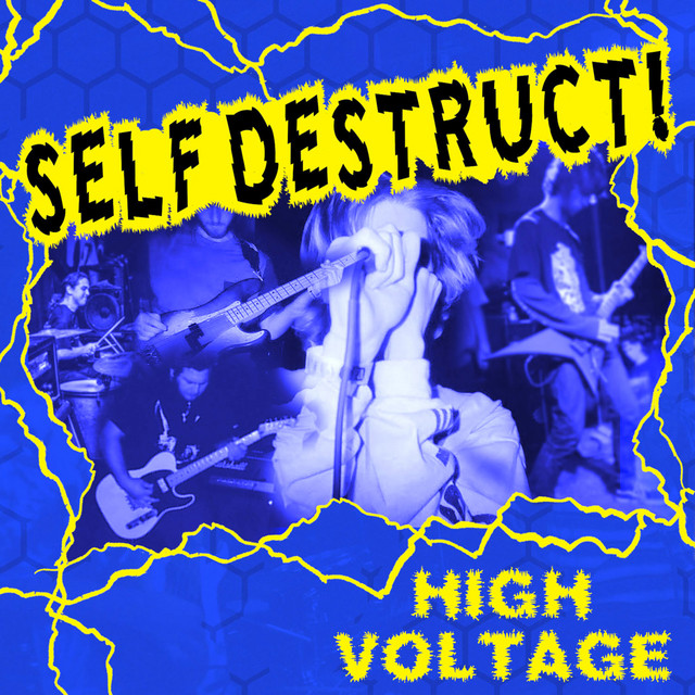 High Voltage cover