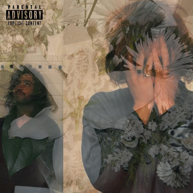 Says Who? cover art