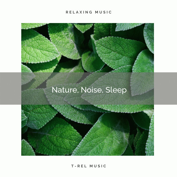 1 Nature, Noise, Sleep - Album by Soothing Nature Sounds | Spotify