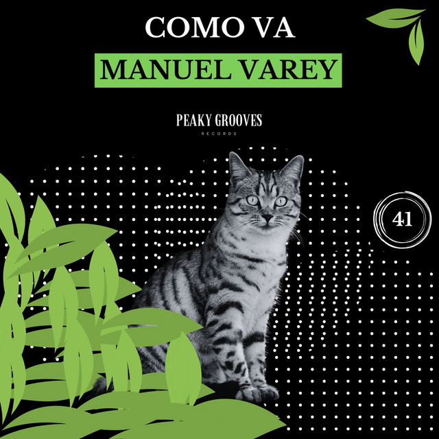 Como Va - Radio Edit