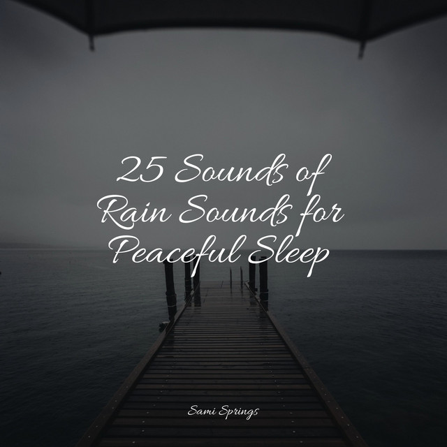 25 Sounds of Rain Sounds for Peaceful Sleep - Album by Classical ...