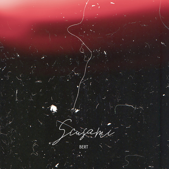 Scusami cover art