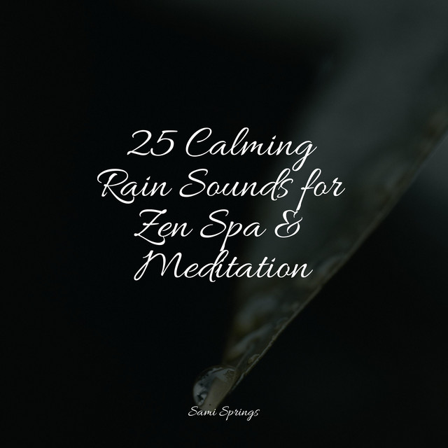 25 Calming Rain Sounds for Zen Spa & Meditation - Album by Healing ...