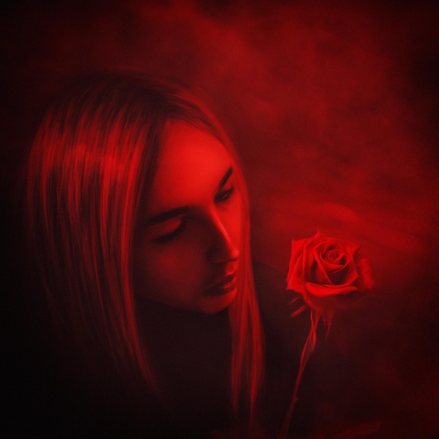 ROSES cover art