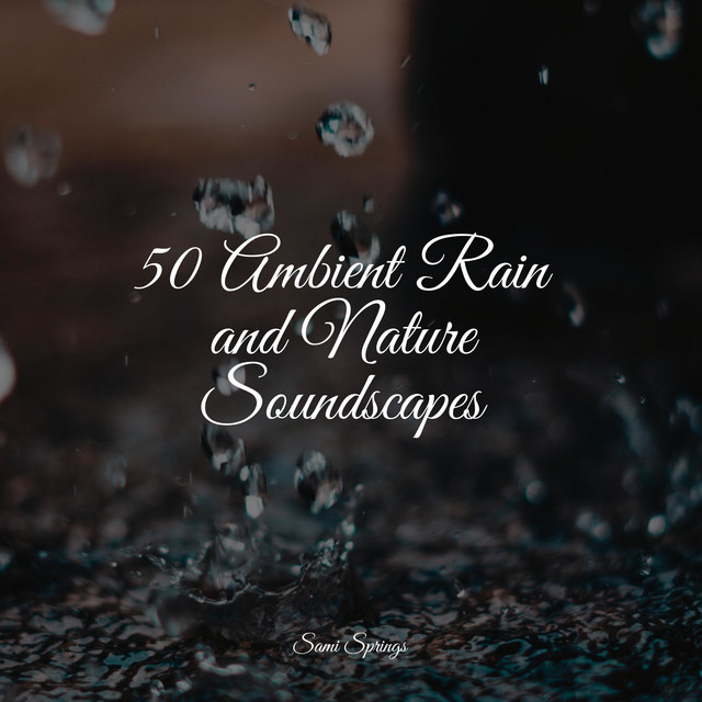 50 Ambient Rain and Nature Soundscapes - Album by Nature Sounds | Spotify
