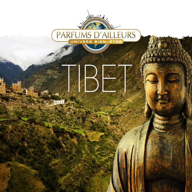 Pochette du titre Méditation Devant L'Abime