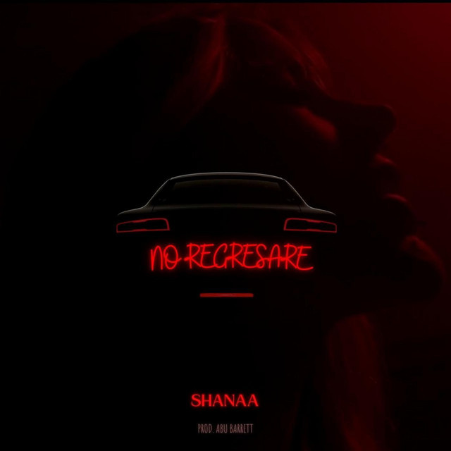 No Regresaré