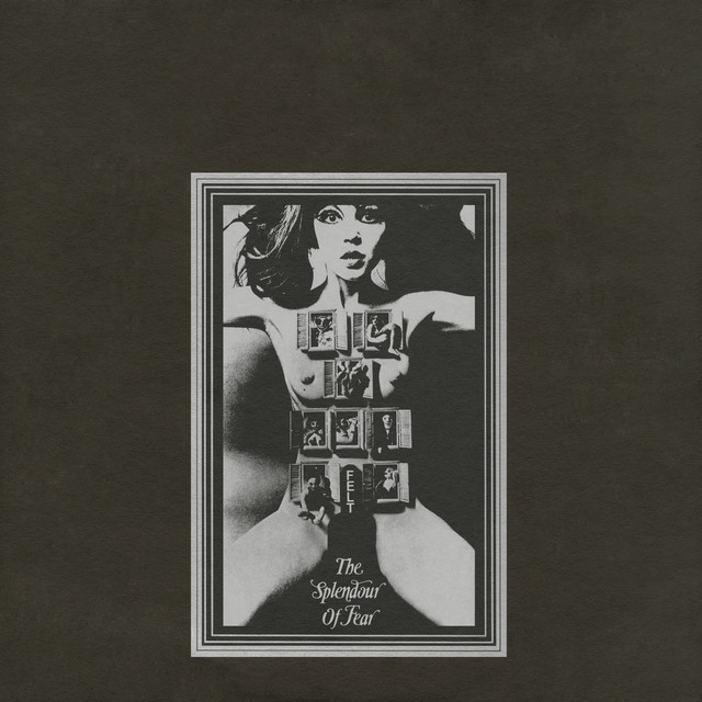 【人気盤】The splendour of fear / FELT UKオリジ！ The Splendour of Fear (Remastered Edition) - Album by Felt | Spotify
