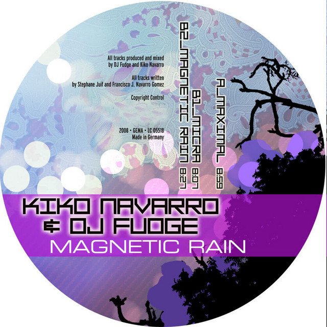 Magnetic Rain cover art