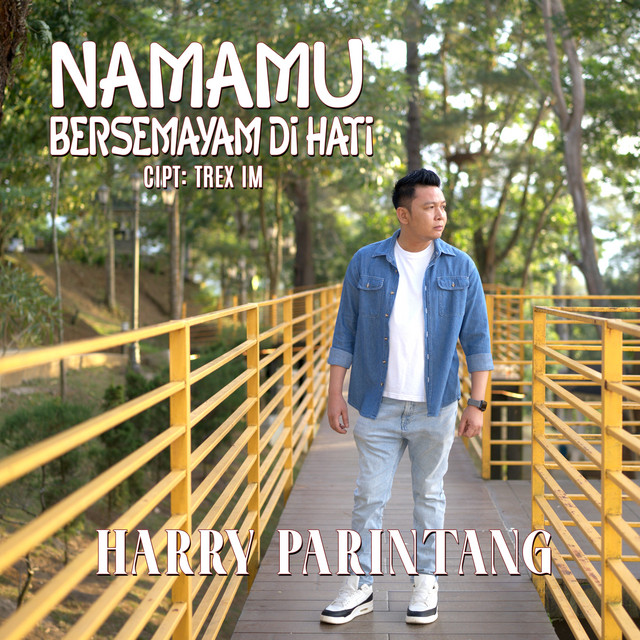 Harry Parintang - Namamu Bersemayam Di Hati album image