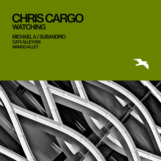 Watching - Subandrio Remix album art