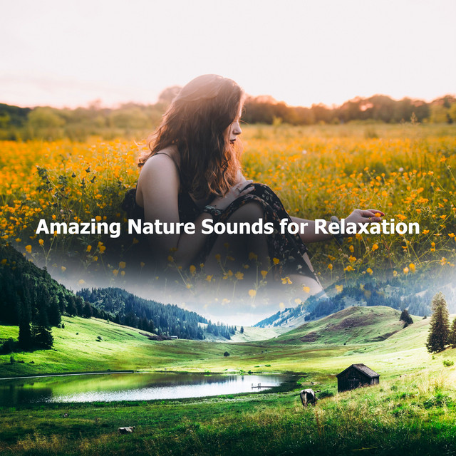 Amazing Nature Sounds for Relaxation - Album by Nature Sounds ...