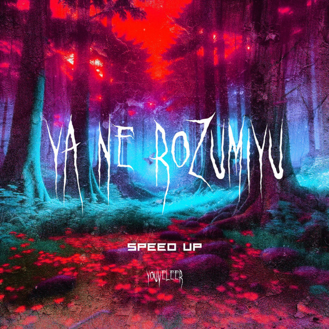 Cover art: Я Не Розумію - Speed Up — YOUVELEER