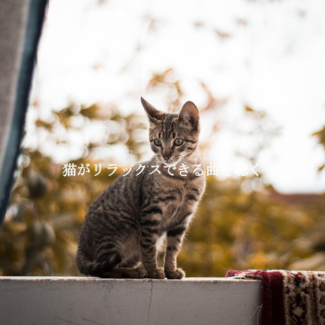 猫がリラックスできる曲を聴く cover art