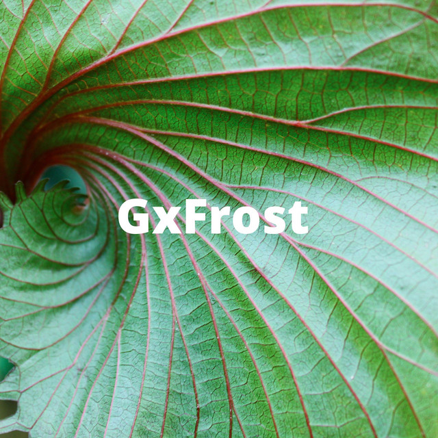 GxFR Photo