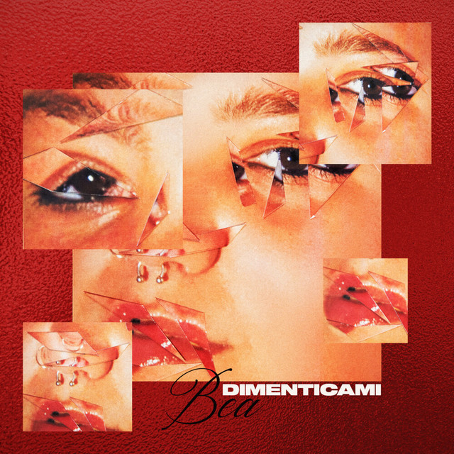 Dimenticami cover art