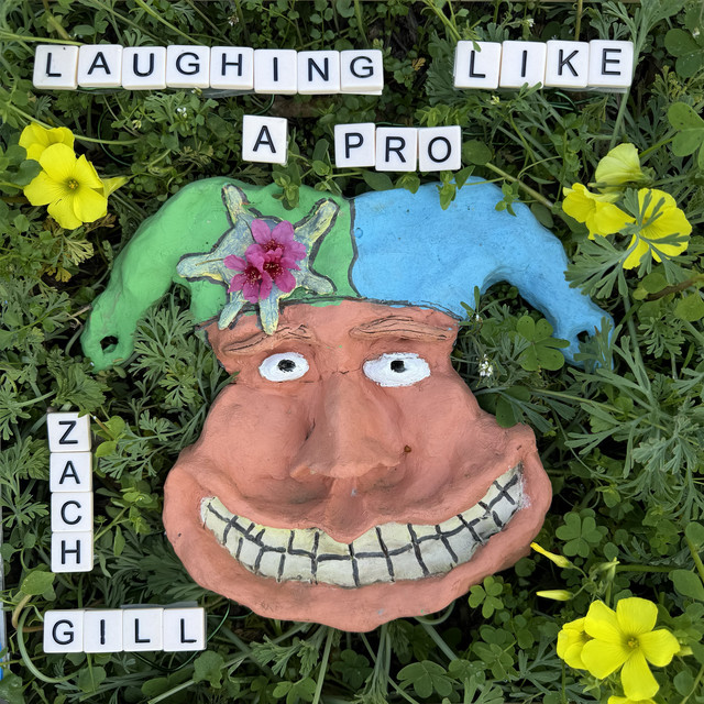 Laughing Like A Pro cover art