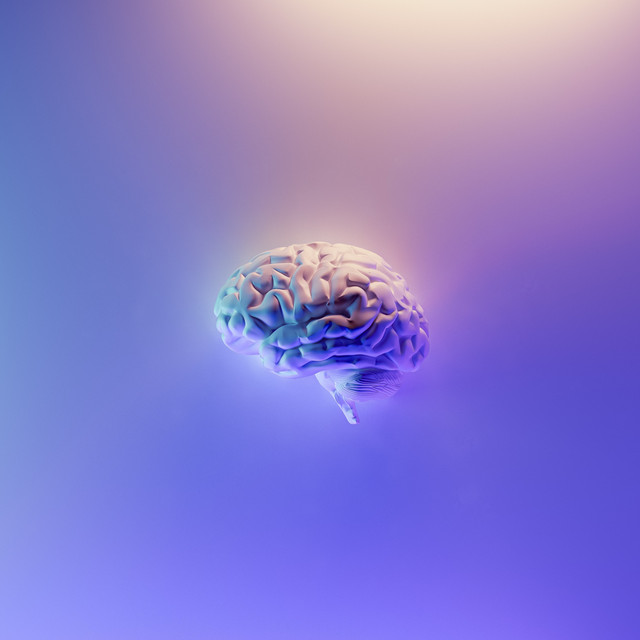 Brain Chemicals cover art